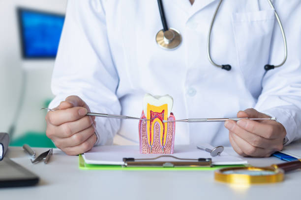 Best After-Hours Emergency Dentist in Quinlan, TX